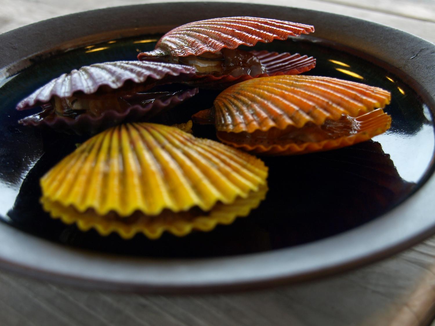 ひおうぎ貝ドリア