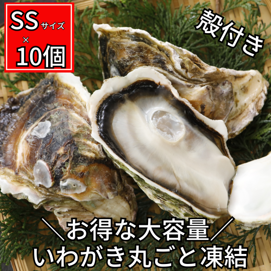 単品購入より10％お得！いわがき春香SSサイズ大容量10個