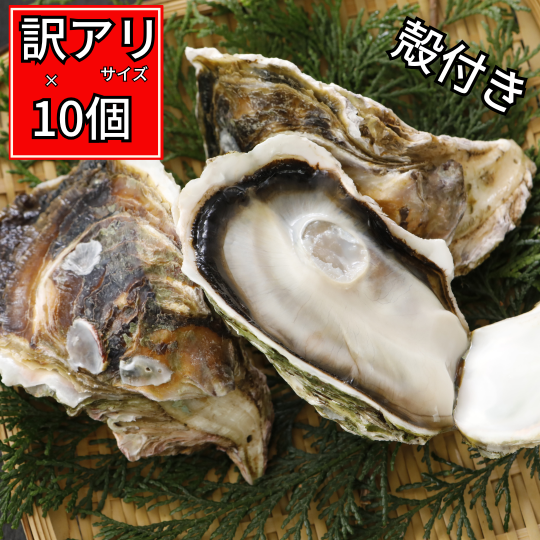 【限定30セット】【訳アリお買い得品】小さないわがき丸ごと凍結10個【送料無料】