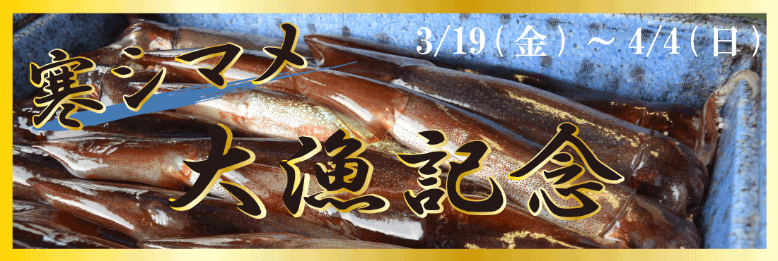 寒シマメ大漁記念