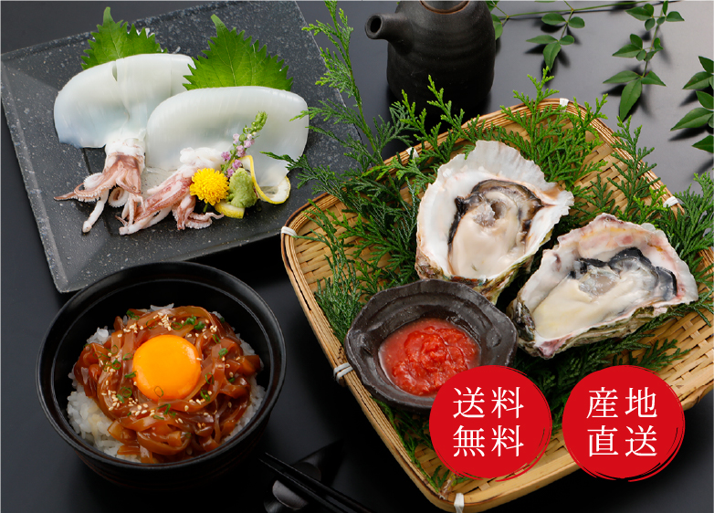 送料無料 産地直送